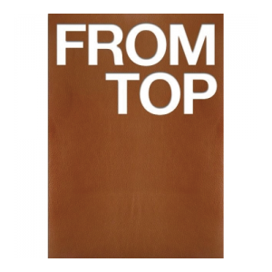 TOP - 1ST PICTORIAL RECORDS [FROM TOP] (1 DISC)